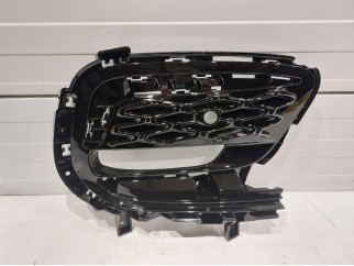 BEZEL. Fog Lamp. Right